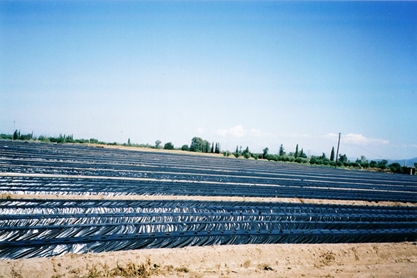 Agrolin Μαύρο